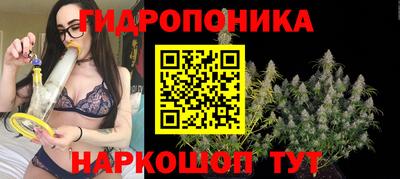 гидра Кумертау