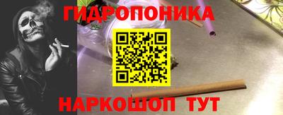 прущие крисы Кунгур