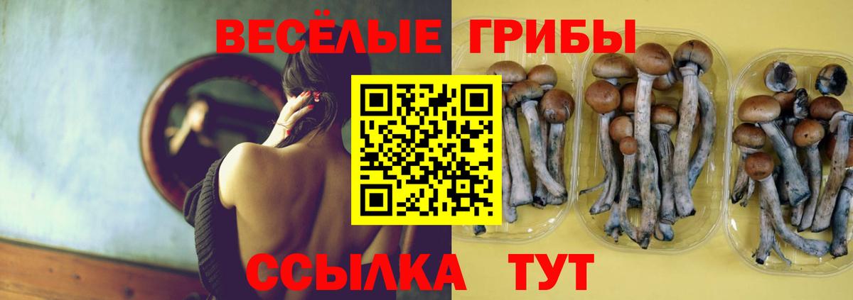 Псилоцибиновые грибы Cubensis  купить наркотик  Ижевск  Псилоцибиновые грибы прущие грибы  Вход с VPN 